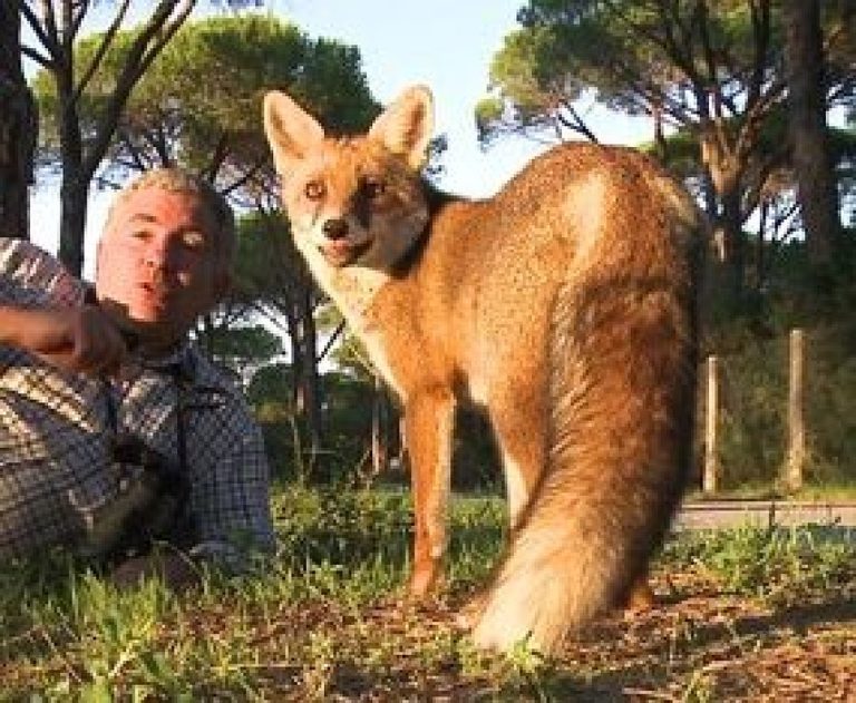 Lo sguardo invisibile, in libreria storie di simbiosi tra uomini e animali