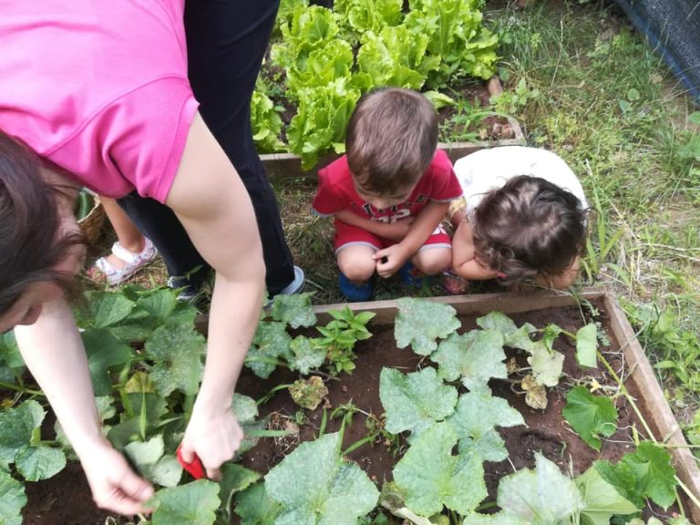 I Giardini di Zeus a Roma, modello di asilo nido bio