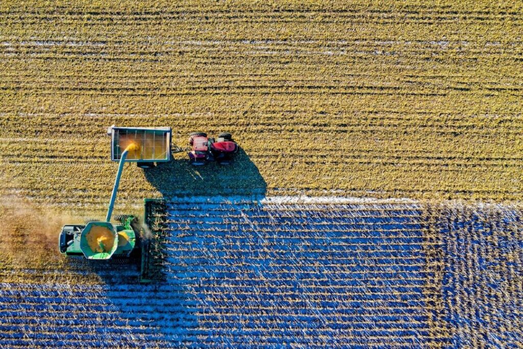 Digestione anaerobica delle biomasse: cos'è e come si ottiene