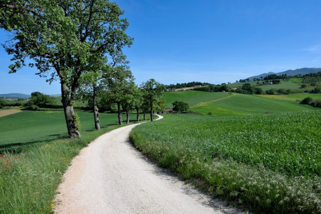 La Strada del Miele di Macerata, primo itinerario all’insegna dell’apiturismo