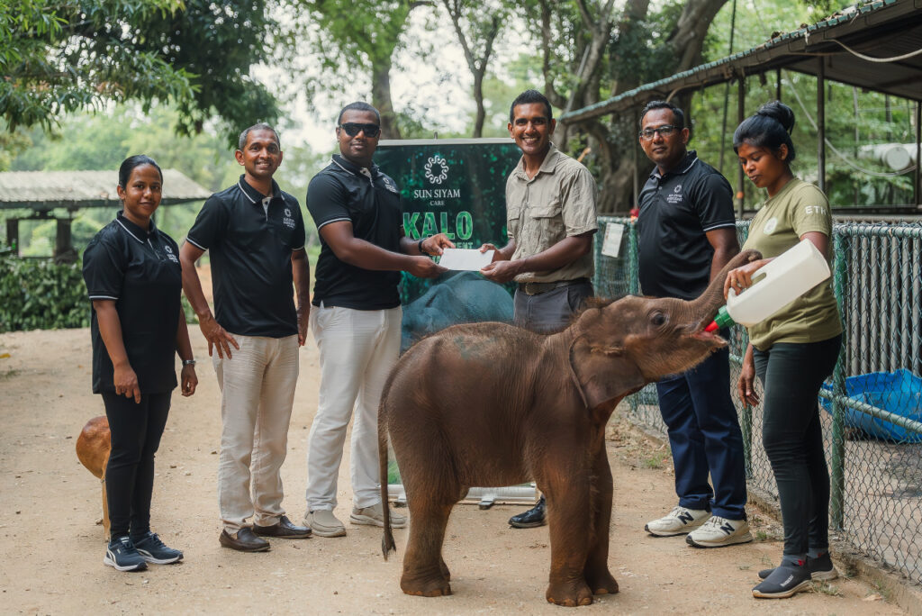 Kalo: l'elefantino abbandonato e adottato con il progetto CarePhant