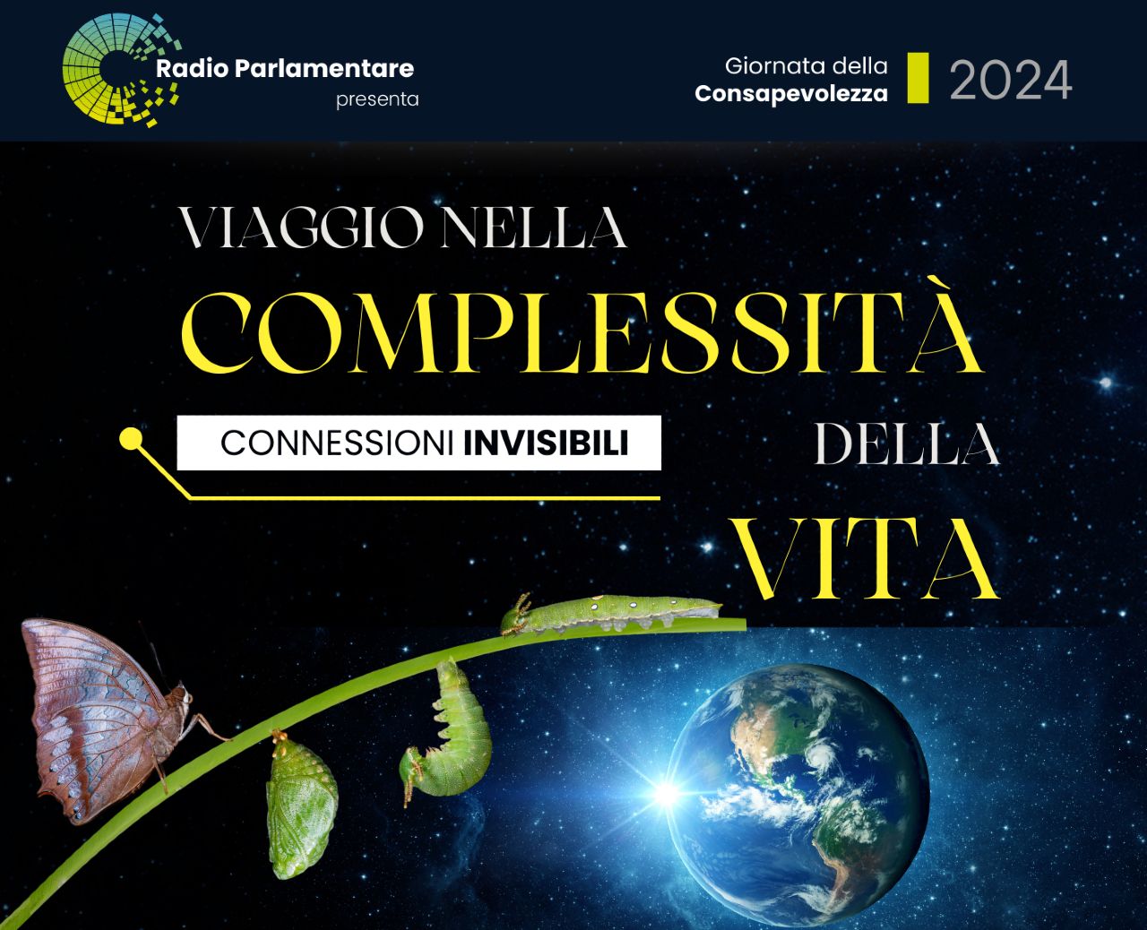 Giornata della consapevolezza 2024, un viaggio nella complessità della vita