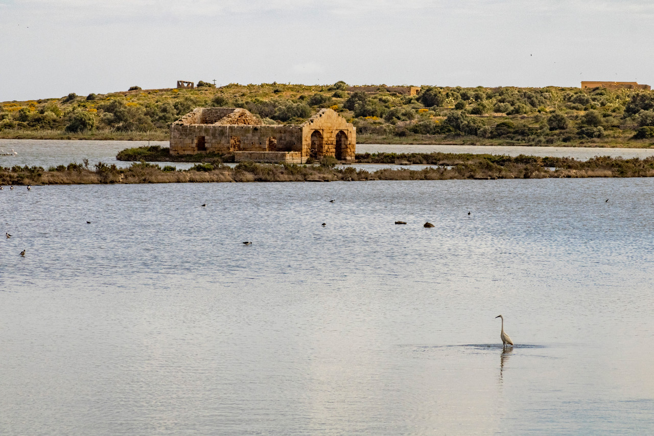 Vita sopra e sotto il mare: le foto più belle e i premiati