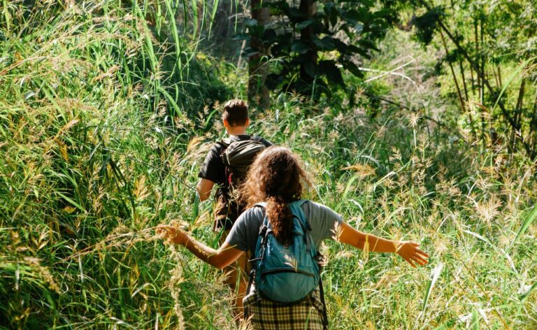 Giovani e cammini sulle Strade Maestre, vivere la scuola nella natura