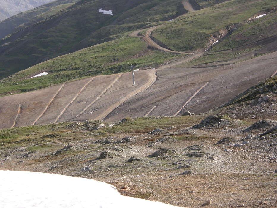 Impianti sciistici minacciano rifugi climatici, a rischio specie ad alta quota