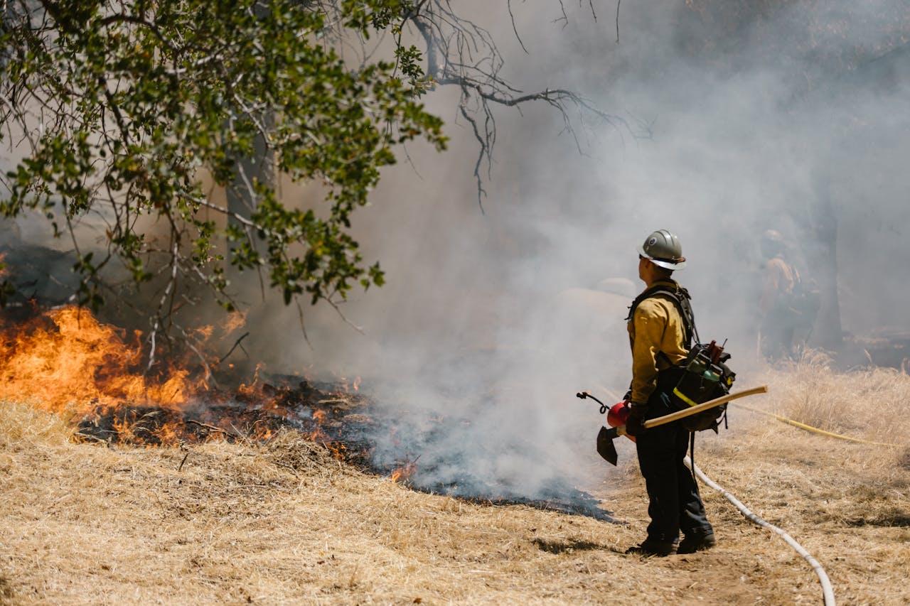 Emergenza incendi, la prevenzione nelle iniziative del Parco nazionale Appennino tosco-emiliano