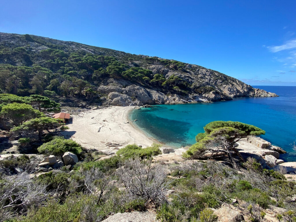 Isola di Montecristo: da lunedì prenotazioni on line per le escursioni