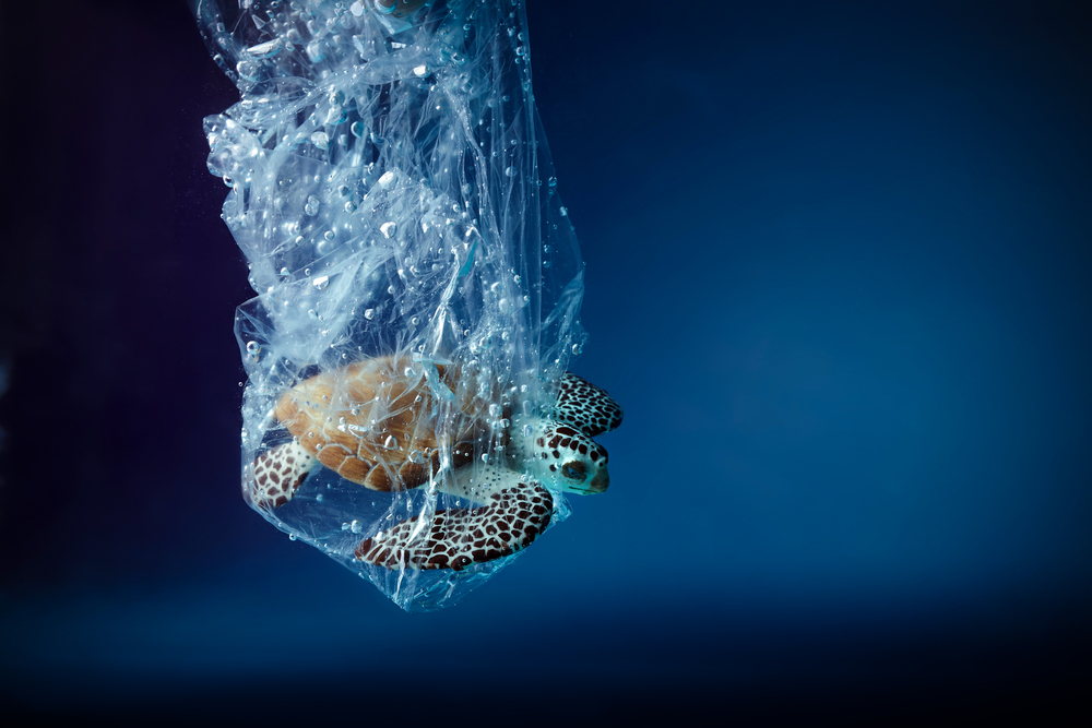 Comuni Plastic Free 2025, sono 122 premiati oggi a Montecitorio