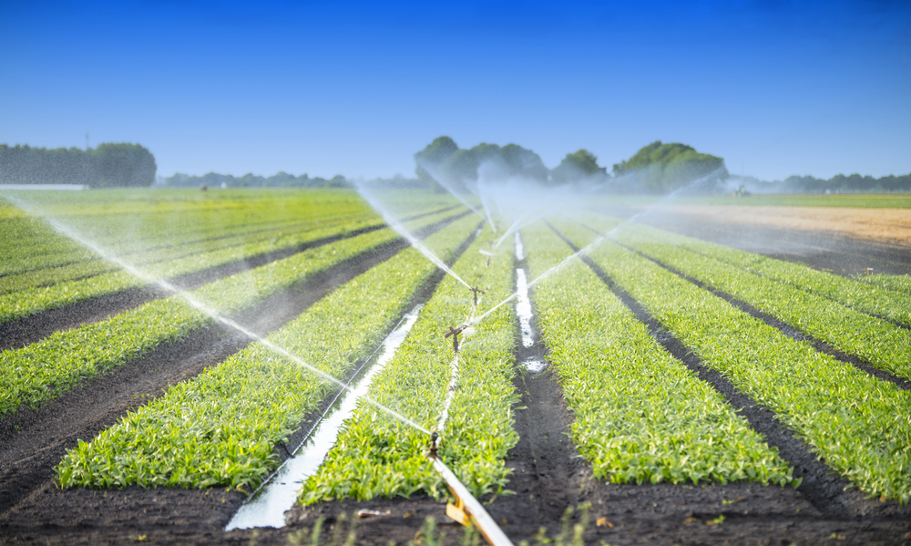 Acqua: infografica CREA, Italia terzo paese in Ue