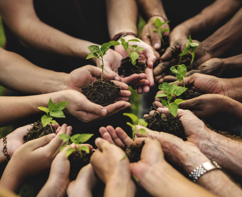 “Piantiamoli noi!”, parte il progetto di riforestazione a Roma Balduina