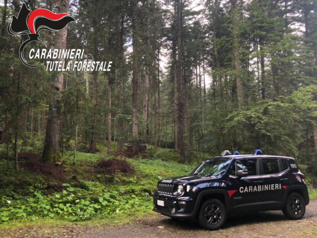 Carabinieri Forestali: sempre "in missione" per natura e sostenibilità